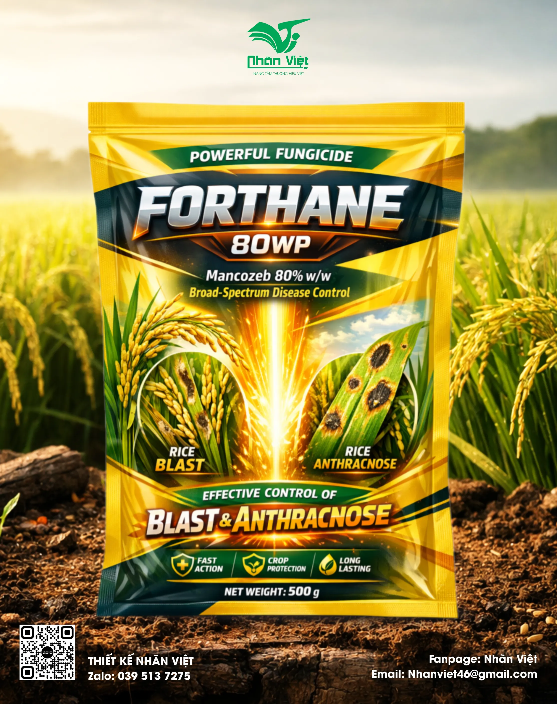 Nhãn mác & Bao bì